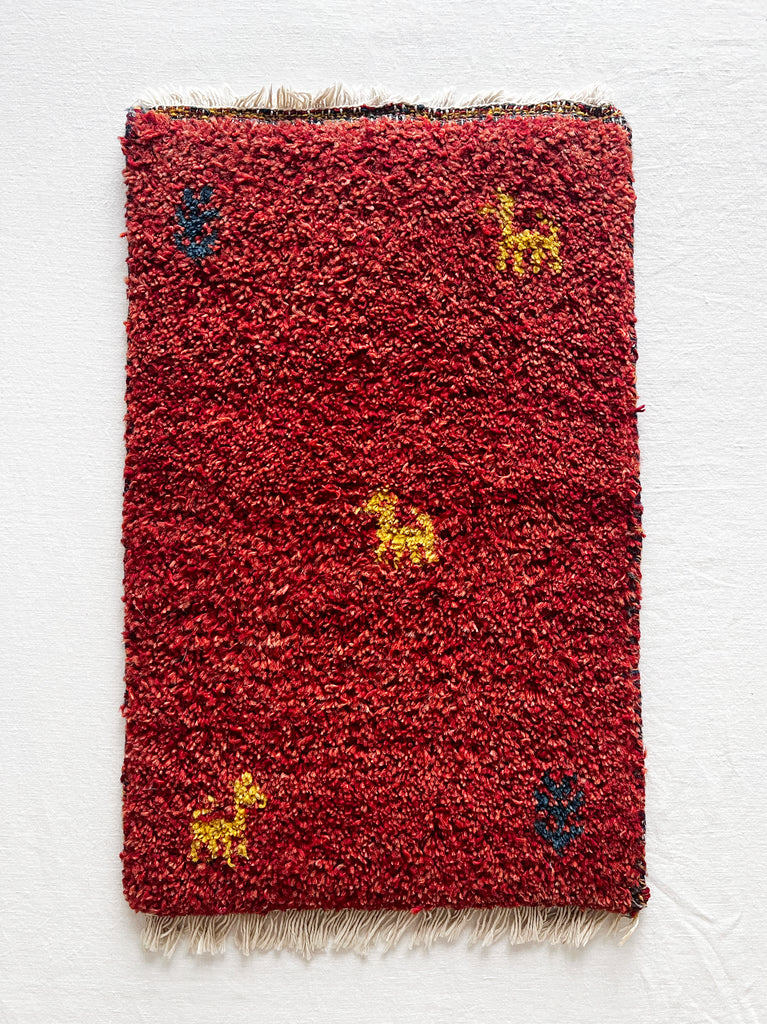 Persian Gabbeh Rug – likewise