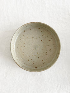 Speckled Daily Plate