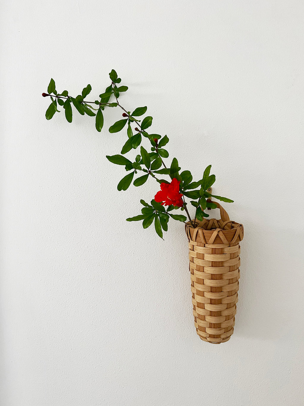 Wall Hanging Basket